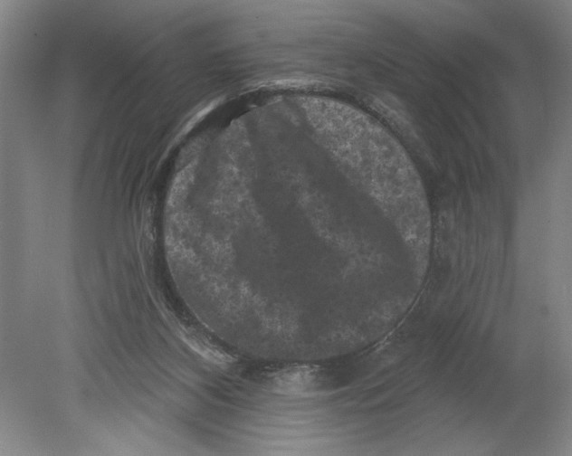 X0000080740116200701051155