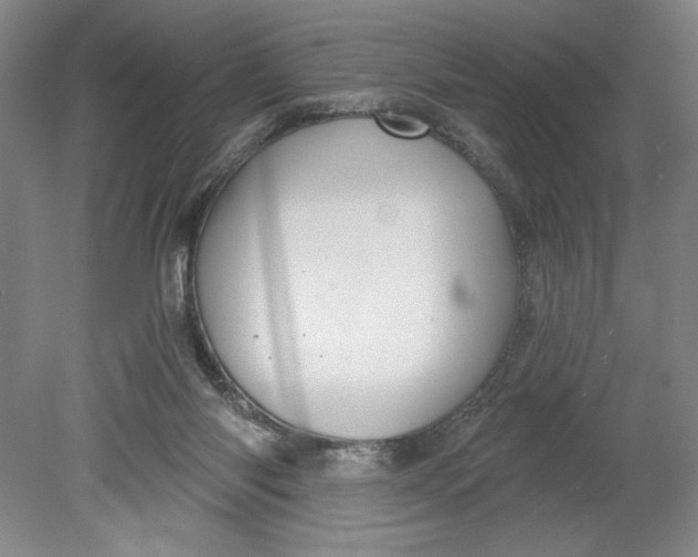 X0000080740118200701051154