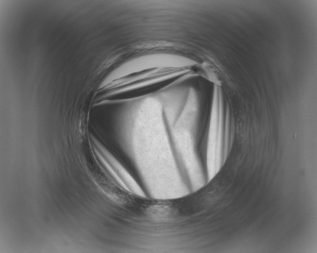 X0000080740119200701051154