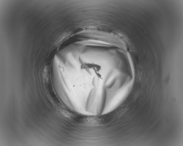 X0000080740121200701051154