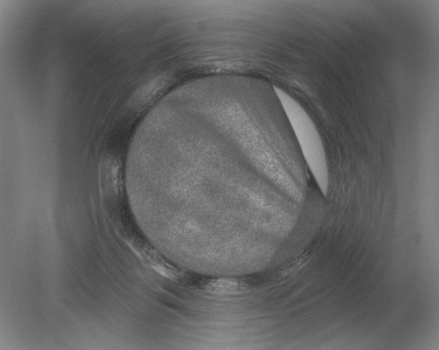 X0000080740123200701051154