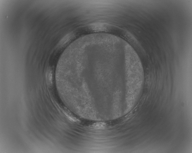 X0000080740124200701051154