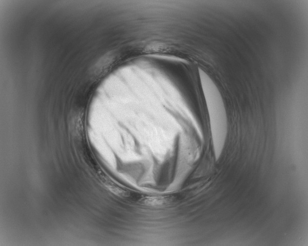 X0000080740127200701051154