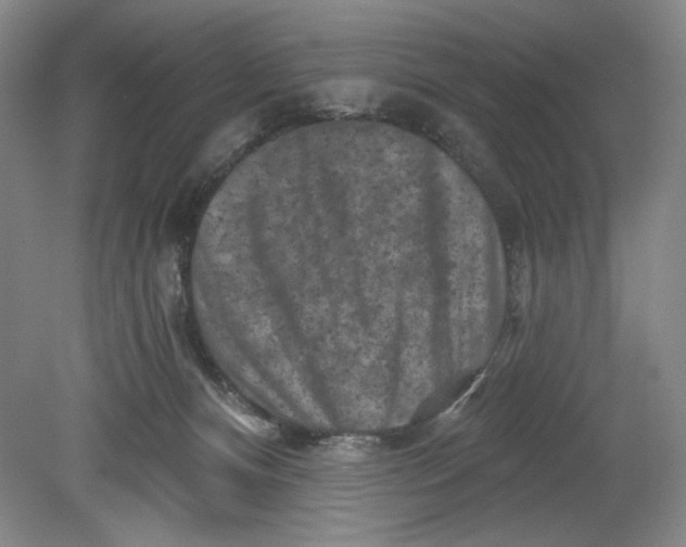 X0000080740128200701051154