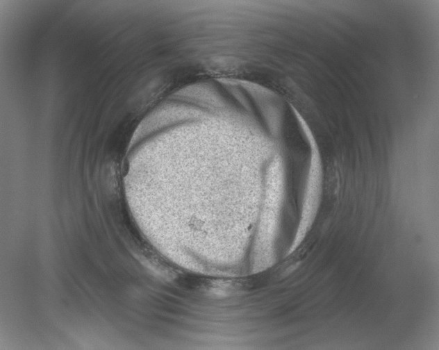 X0000080740130200701051154