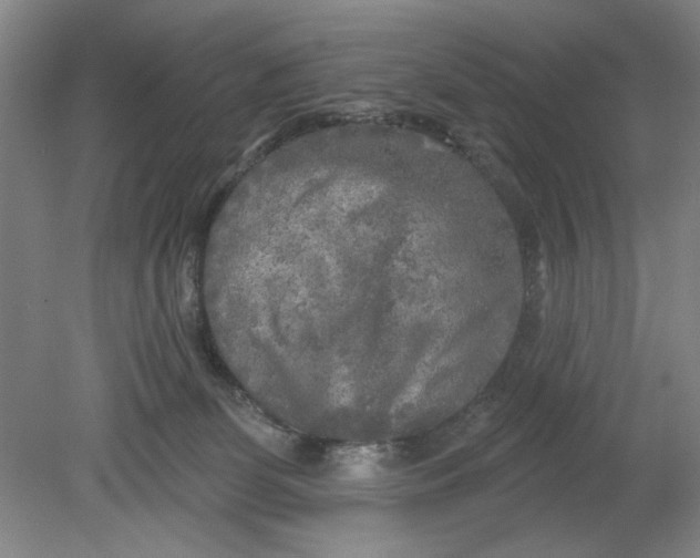 X0000080740131200701051154