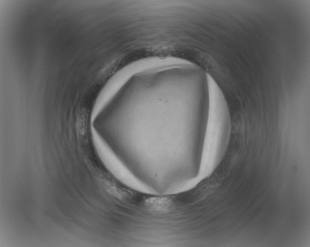 X0000080740133200701051154