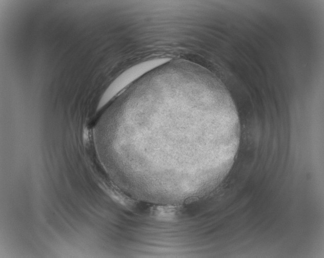 X0000080740134200701051154