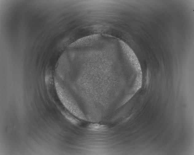 X0000080740137200701051154