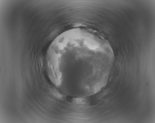 X0000080740139200701051154