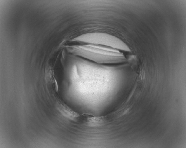 X0000080740141200701051154