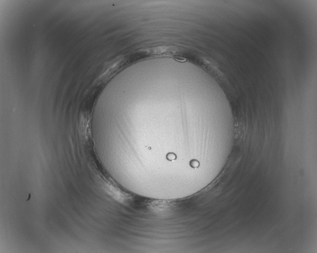 X0000080740142200701051154