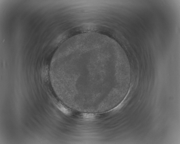 X0000080740144200701051154