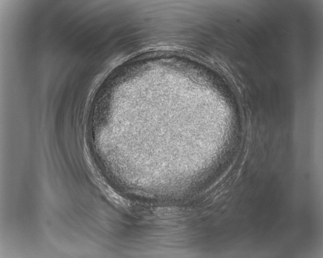 X0000080740145200701051153