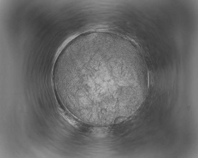 X0000080740147200701051153