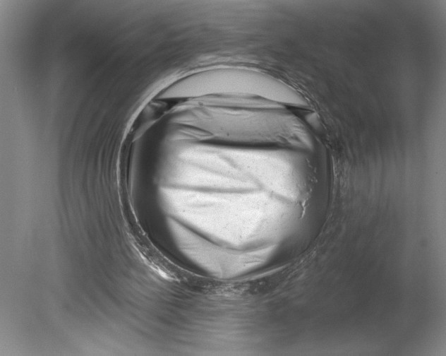 X0000080740148200701051153