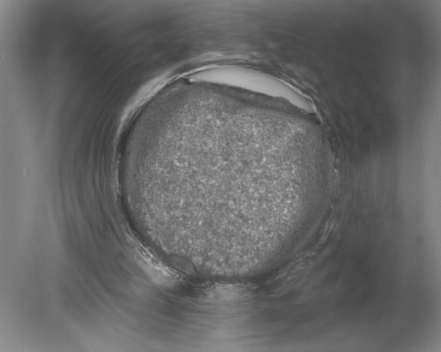 X0000080740149200701051153