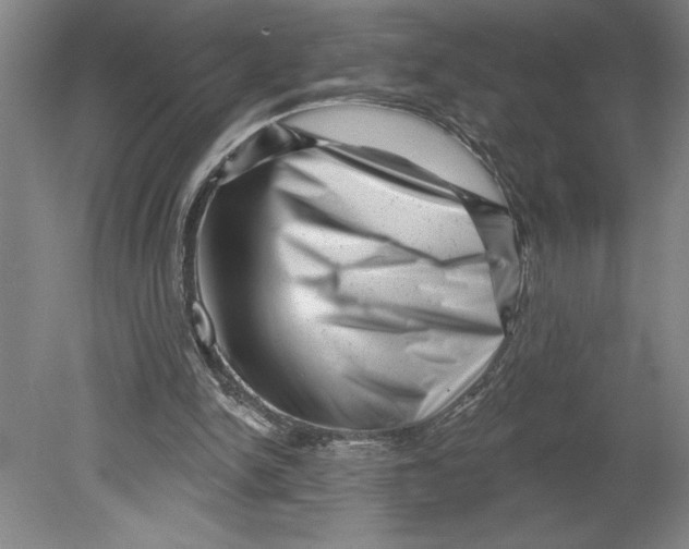 X0000080740150200701051153