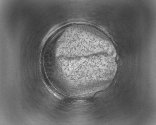 X0000080740151200701051153