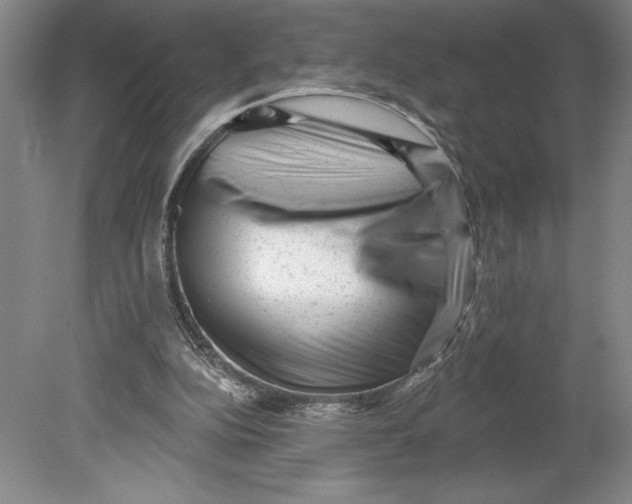 X0000080740152200701051153