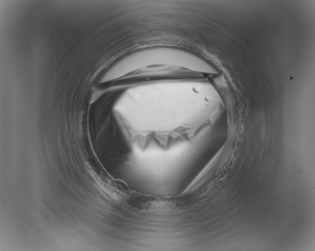 X0000080740154200701051153