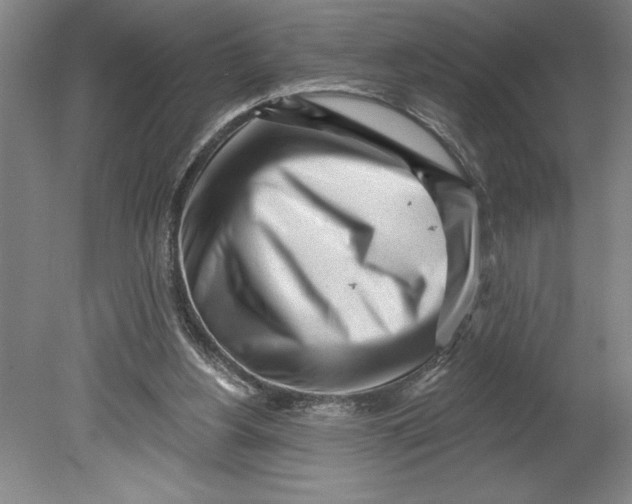 X0000080740156200701051153