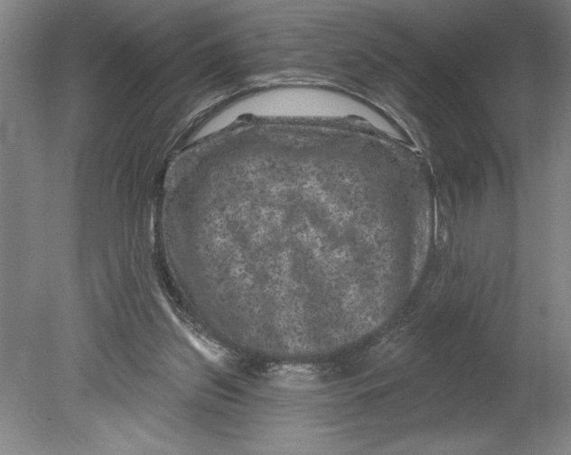 X0000080740157200701051153