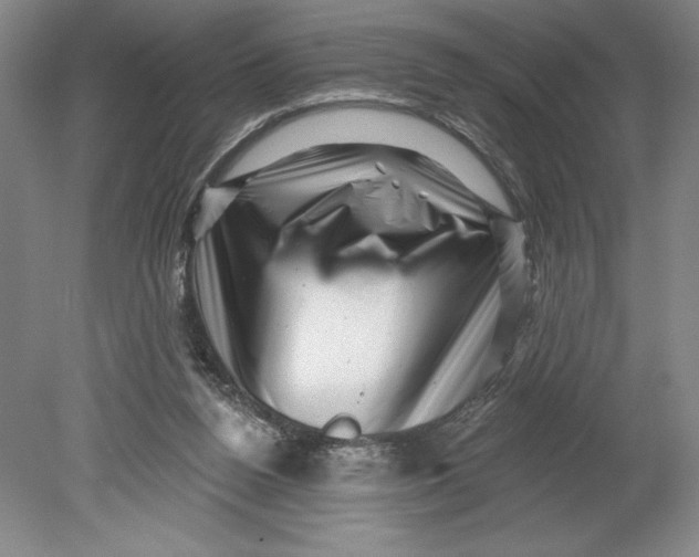 X0000080740160200701051153