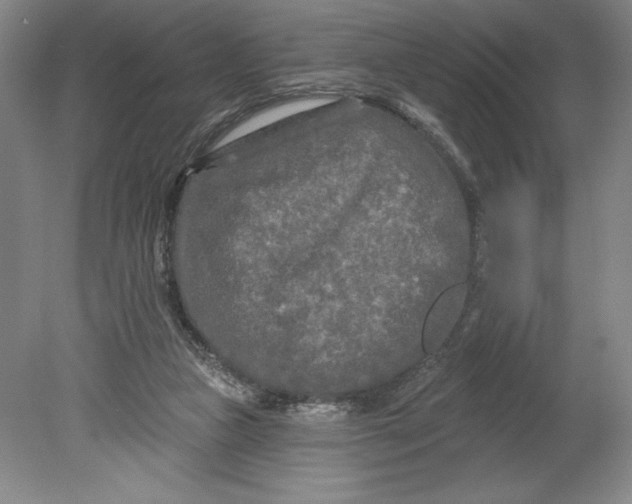 X0000080740161200701051154