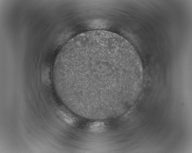 X0000080740162200701051154