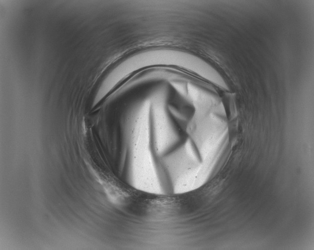 X0000080740164200701051154