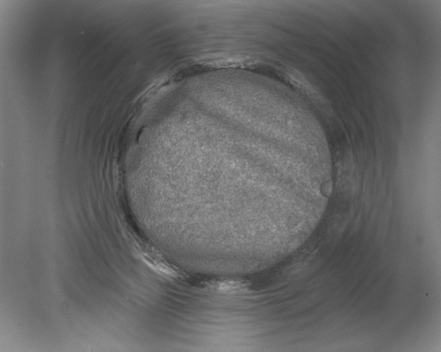 X0000080740165200701051154