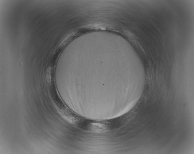 X0000080740167200701051154