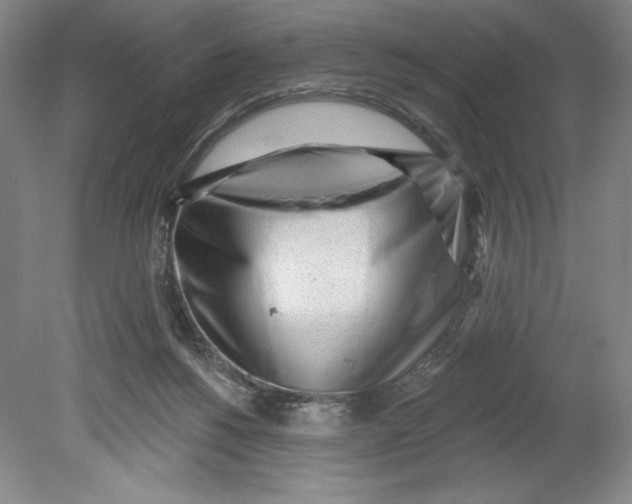 X0000080740168200701051154