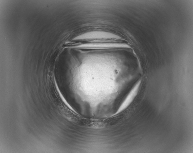 X0000080740169200701051154