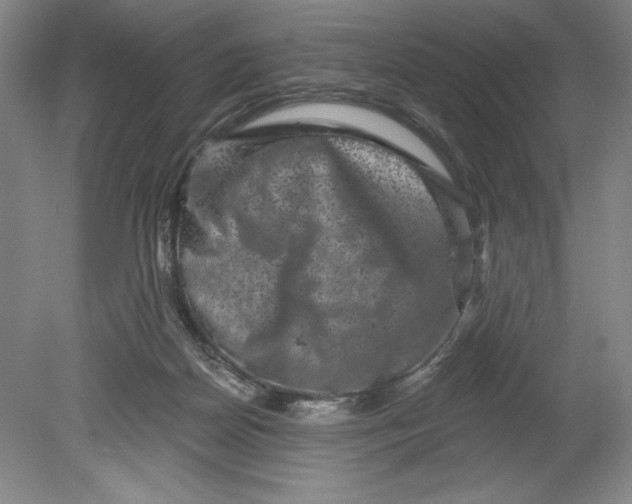 X0000080740170200701051154