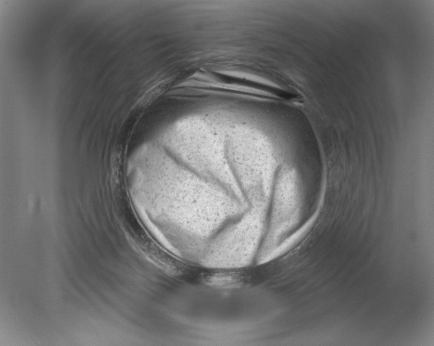 X0000080740171200701051154