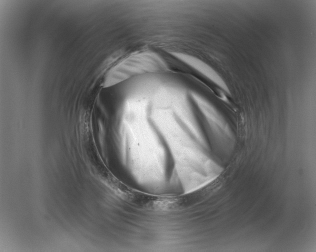 X0000080740172200701051154