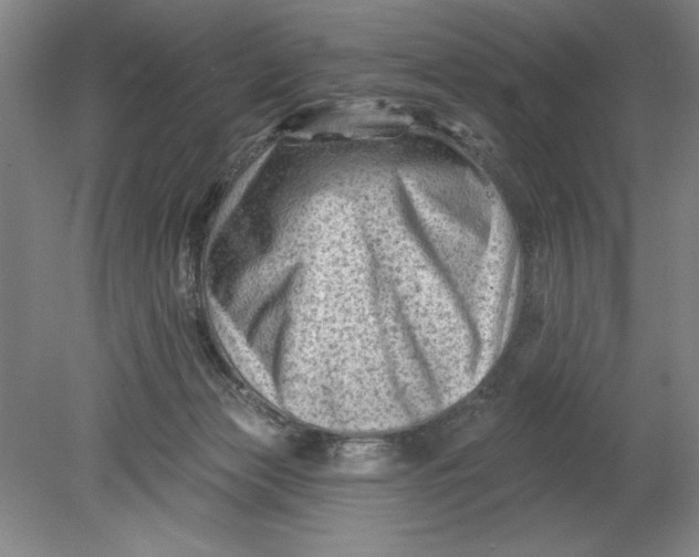 X0000080740173200701051154