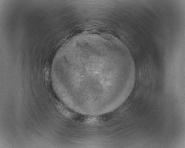 X0000080740177200701051154