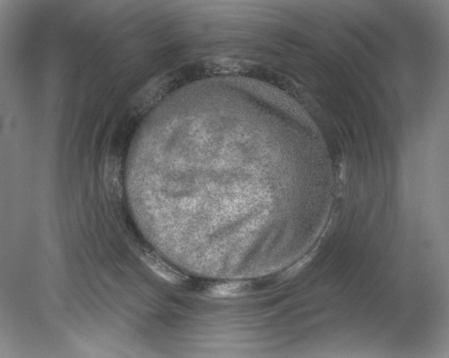 X0000080740178200701051154