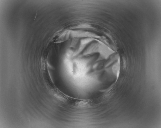 X0000080740180200701051154