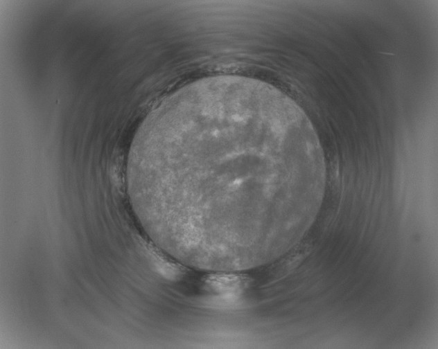 X0000080740181200701051154