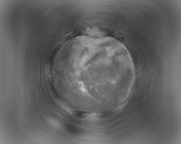 X0000080740182200701051154