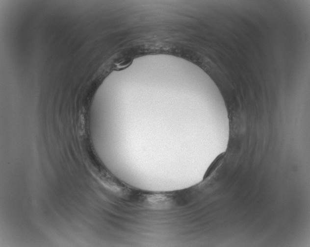 X0000080740183200701051154