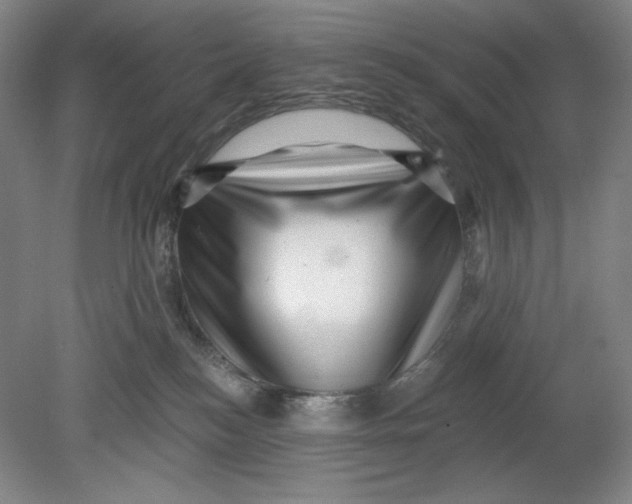 X0000080740184200701051154