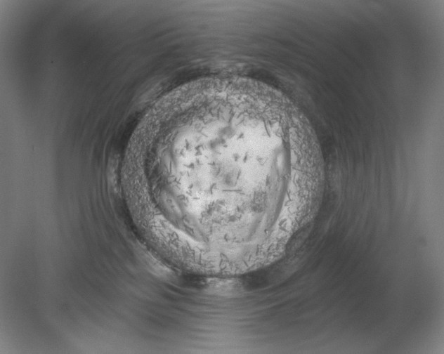 X0000080740185200701051154