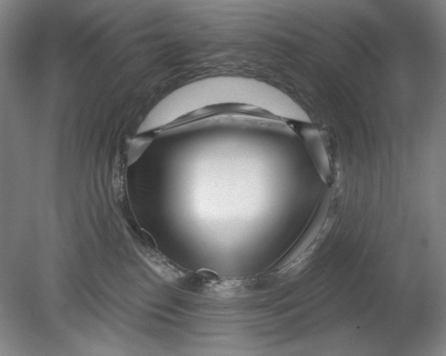 X0000080740186200701051154