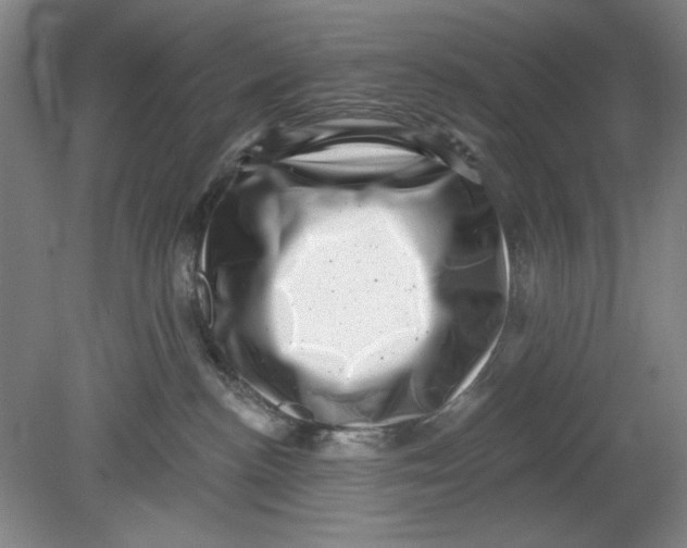 X0000080740188200701051154