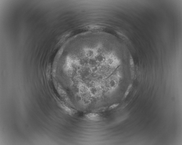 X0000080740189200701051154